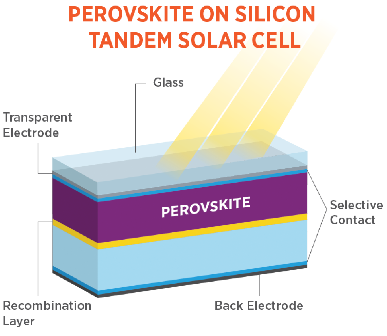 洋書 Hybrid Perovskite Solar Cells Hybrid Perovskite Solar Cells